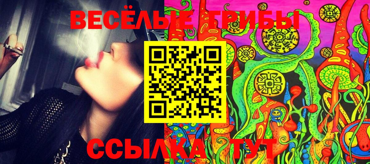 Саяногорск  Псилоцибиновые грибы мицелий  Вход с VPN 