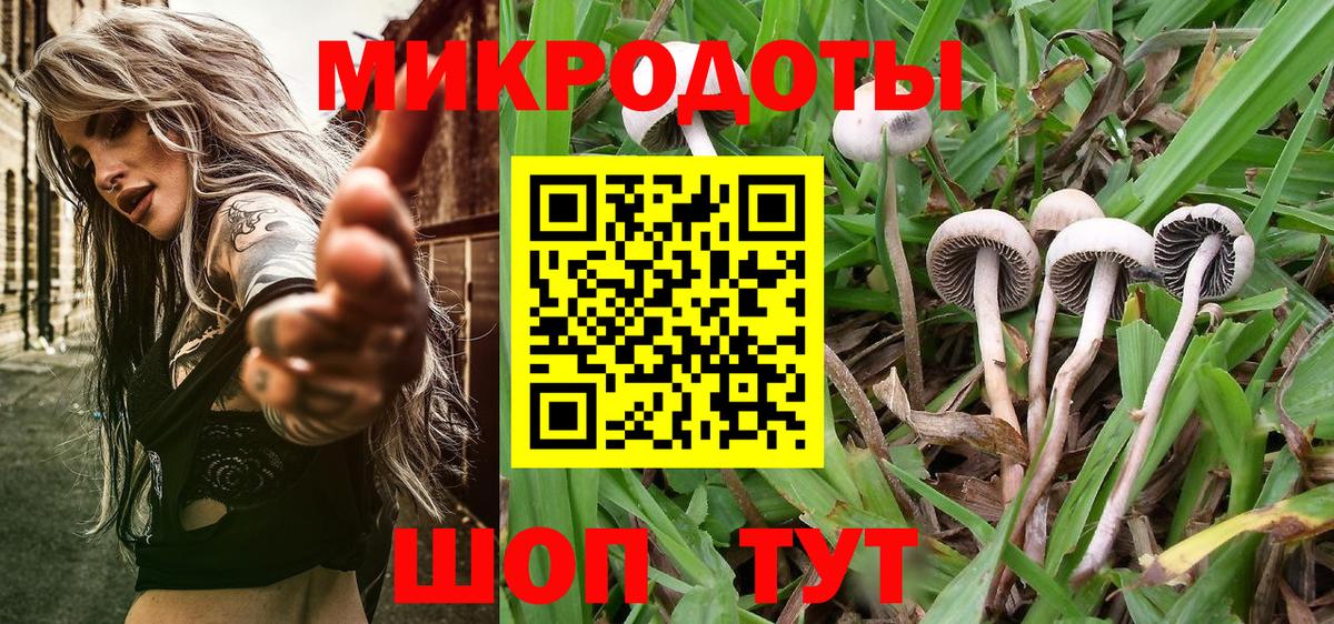Псилоцибиновые грибы ЛСД Саяногорск